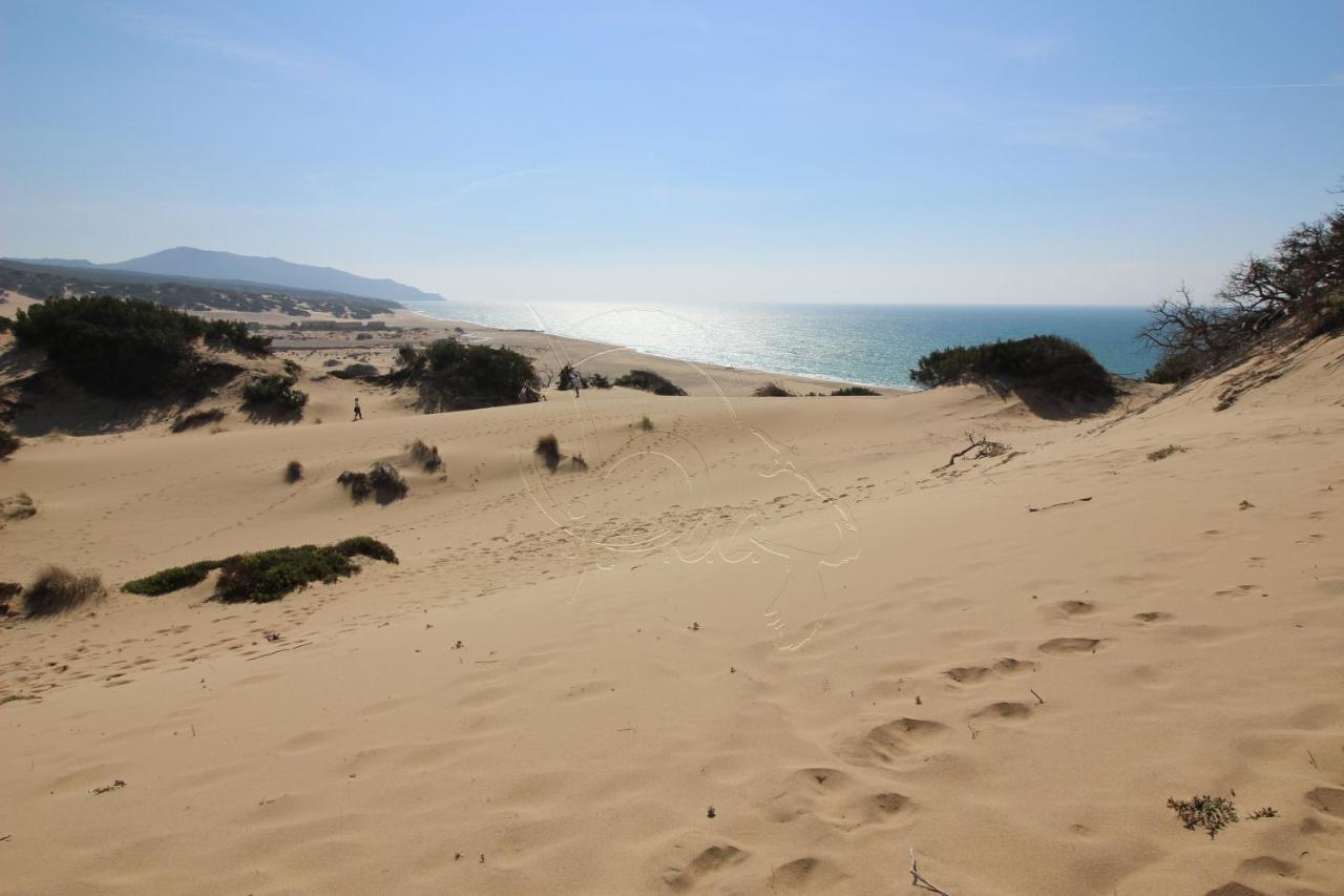 Ampio Appartamento Marina Di ארבוס מראה חיצוני תמונה